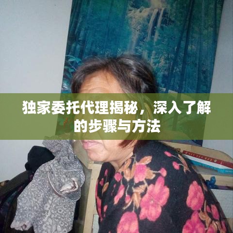 独家委托代理揭秘，深入了解的步骤与方法