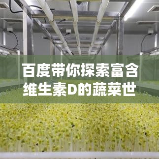 百度带你探索富含维生素D的蔬菜世界，领略丰富菜篮子，健康每一天！