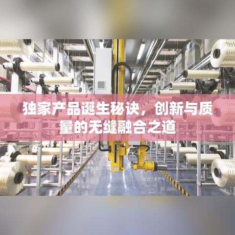 独家产品诞生秘诀，创新与质量的无缝融合之道