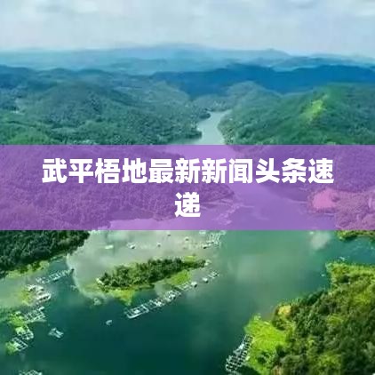 武平梧地最新新闻头条速递