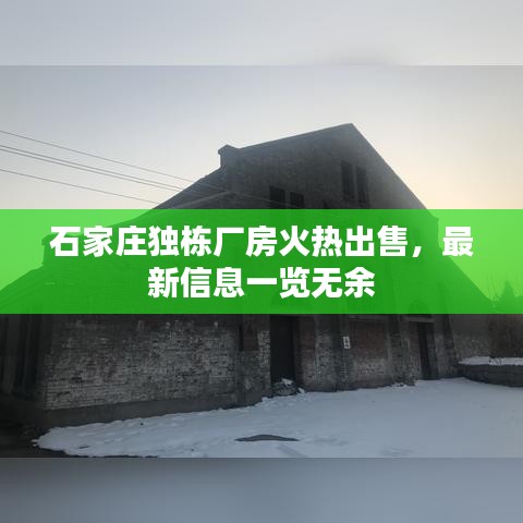 石家庄独栋厂房火热出售,最新信息一览无余