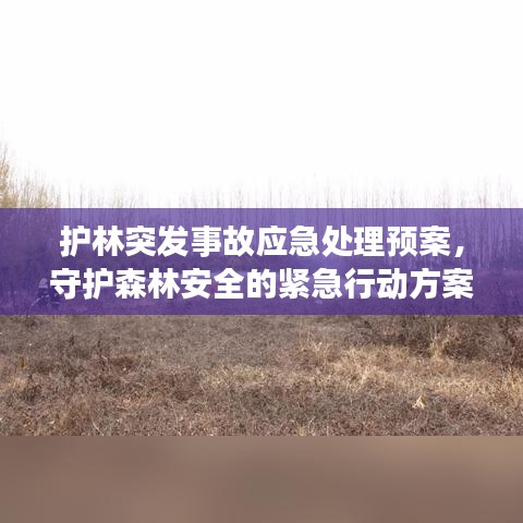 护林突发事故应急处理预案，守护森林安全的紧急行动方案