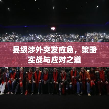 县级涉外突发应急,策略实战与应对之道