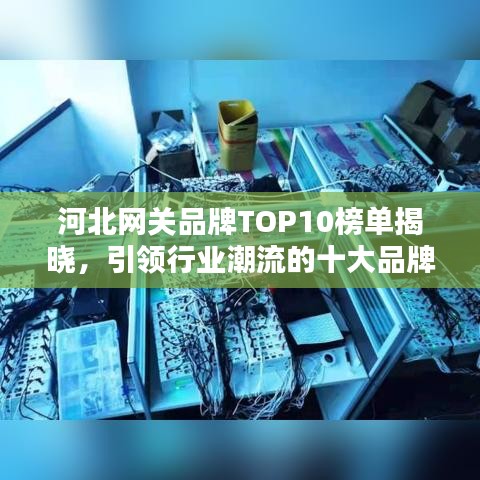 河北网关品牌TOP10榜单揭晓，引领行业潮流的十大品牌