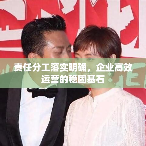 责任分工落实明确,企业高效运营的稳固基石