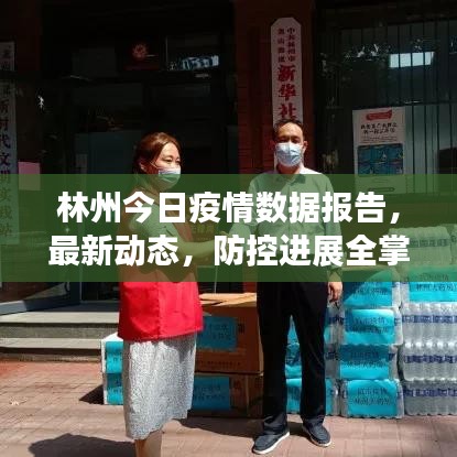 林州今日疫情数据报告，最新动态，防控进展全掌握