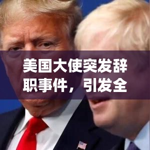 美国大使突发辞职事件，引发全球瞩目关注！