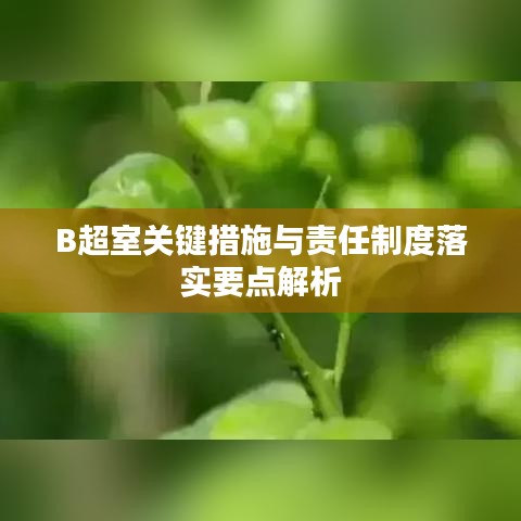 B超室关键措施与责任制度落实要点解析