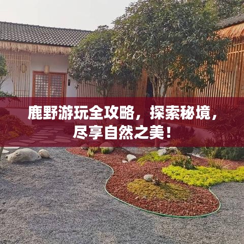 鹿野游玩全攻略,探索秘境,尽享自然之美!