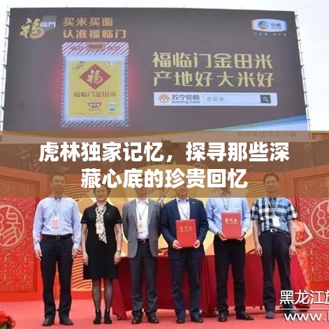 虎林独家记忆,探寻那些深藏心底的珍贵回忆