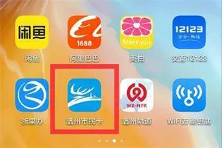 温州市民卡官方下载,科学研究解析说明|静态版1_v1.977