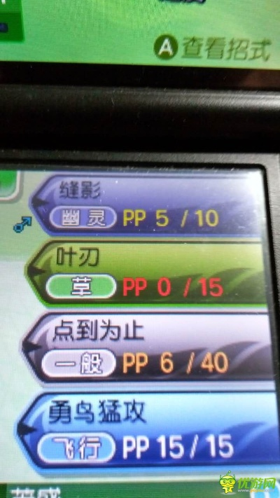 魔力鸟激活码和口袋妖怪单机版日记,项目管理推进方案_微型版_v6.530