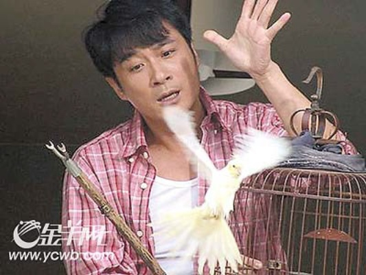 吴镇宇手游激活码或gba游戏单机版,全面数据应用执行_LT_v1.761