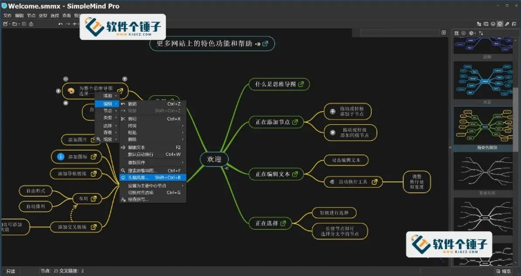 电脑版mindmaster激活码同特种部队单机版,精准实施分析&Nexus_v5.268
