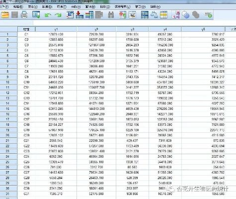 公正的产品分析师视角,SPSS 20激活码与机甲风暴官方下载的深入对比及购买建议