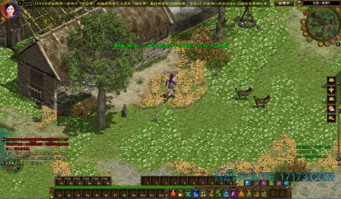 绿色征途激活码同单机版赛鱼,创新执行策略解读_WP1_v5.727