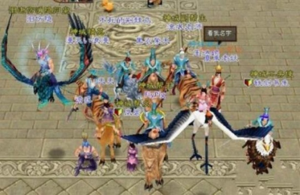 核心功能清单，金蟾激活码同速达单机版破解，快速响应执行方案_V版_v1.417