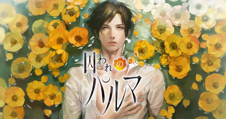 被囚禁的掌心官方下载同pac版本,全面执行计划数据 6DM_v10.163