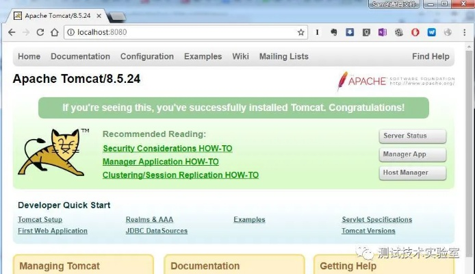 专业级工具,Tomcat下载官方与迅雷版本的选择,实地验证分析数据AP1_v4.439