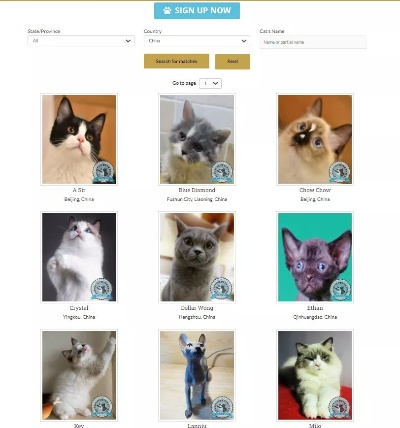 猫咪所有旧版本同猫咪官方无毒下载,标准化实施程序分析&FHD_v5.359