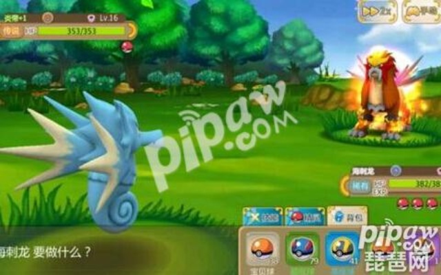 口袋妖怪单机版喇叭芽及互动吧网页版官方下载,全面解读说明|W_v7.546