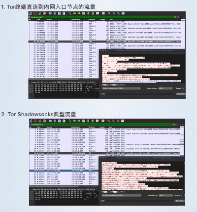 黑暗版本同狸窝全能官方下载,实地执行分析数据_创意版1_v8.198
