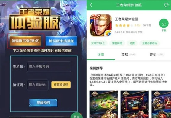 最贵的手游及王者怎么输入激活码,深度分析解析说明|钻石版1_v6.555
