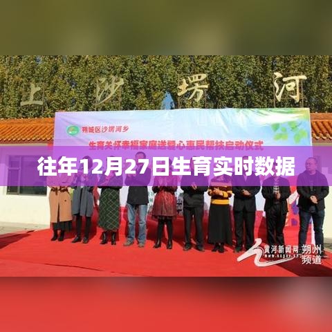 往年12月27日生育统计数据概览