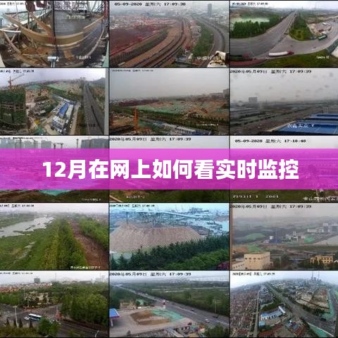 12月网上实时监控观看攻略