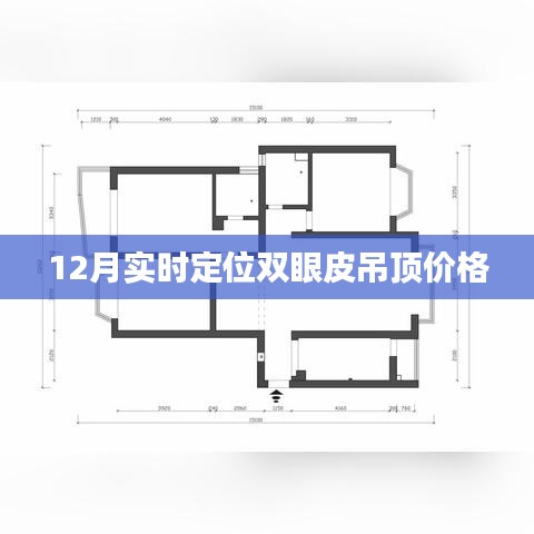 双眼皮吊顶价格实时定位查询