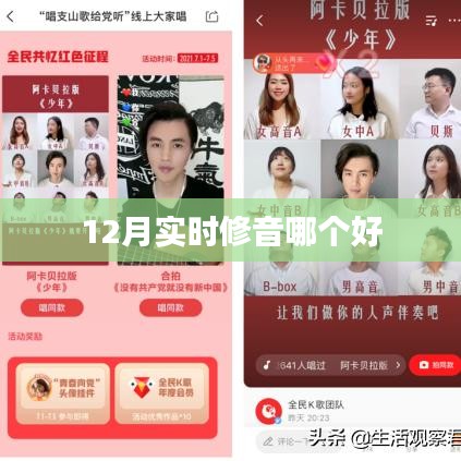 12月最佳实时修音软件推荐