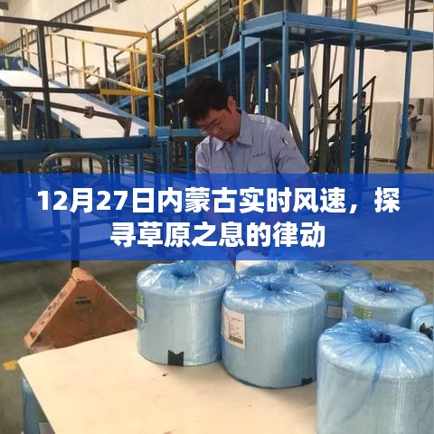 12月27日内蒙古风速实时更新,草原风息律动探索