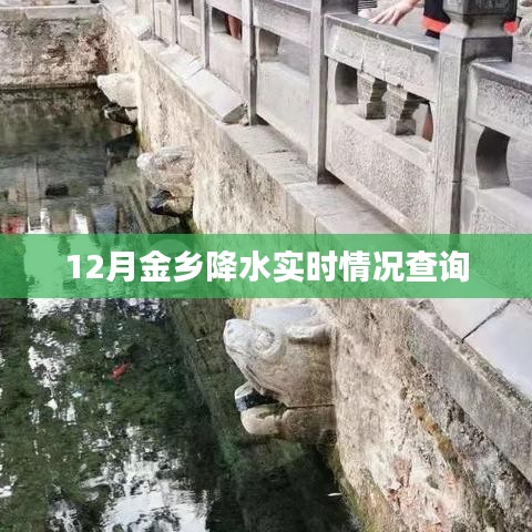 金乡实时降水查询报告