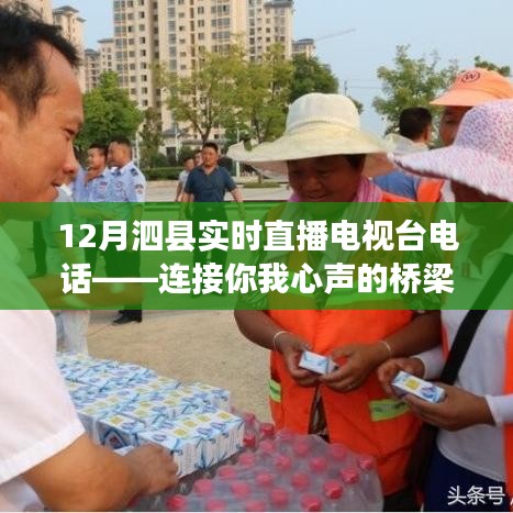 泗县直播电视台电话，连接您我心声的通信桥梁