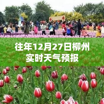 柳州往年12月27日实时天气预报概况