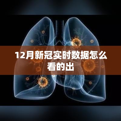 12月新冠实时数据解析指南