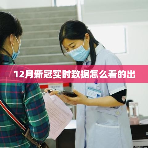 12月新冠实时数据解析指南