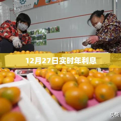 12月27日最新实时年利息查询