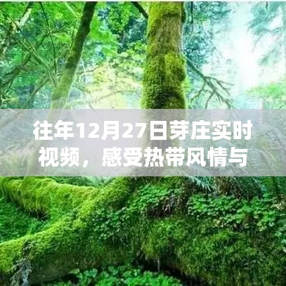 忠心耿耿 第4页