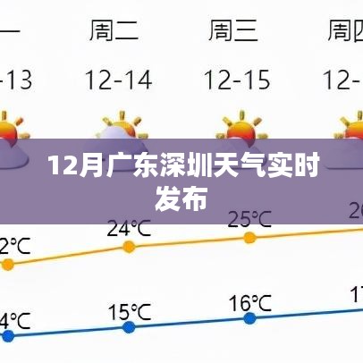 深圳12月天气实时更新