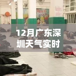 深圳12月天气实时更新