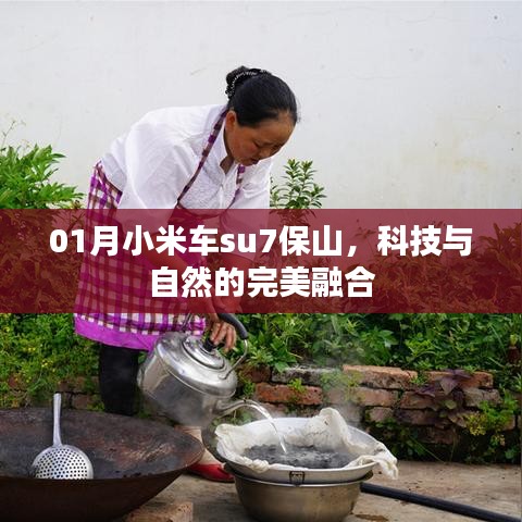 囫囵吞枣 第4页