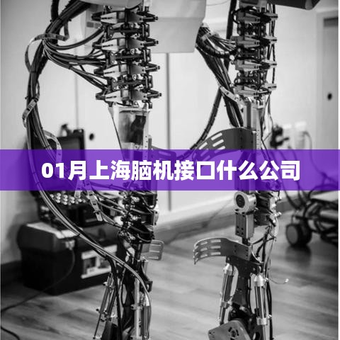 上海脑机接口领先企业一览