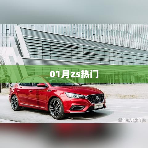 最新热门趋势，ZS一月热议焦点