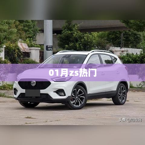 最新热门趋势,ZS一月热议焦点