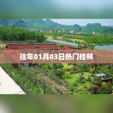 桂林历年元旦后热门活动回顾