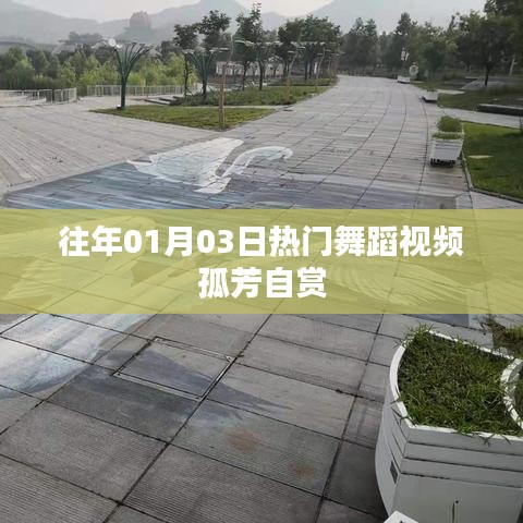 孤芳自赏舞蹈视频,历年元旦热门舞蹈盘点