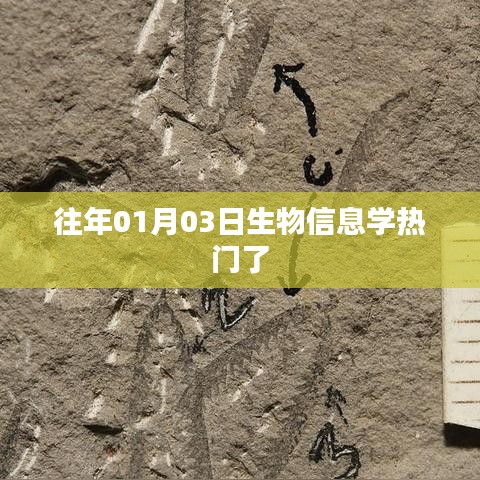 生物信息学趋势,历年一月三日持续热门