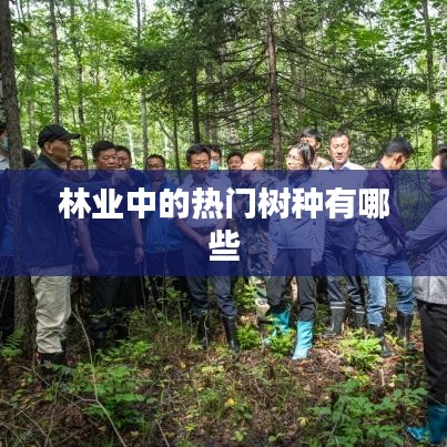 林业热门树种简介