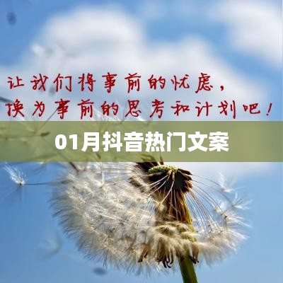 抖音热门文案精选,创意文案一网打尽!